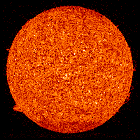 Full Sun Scan