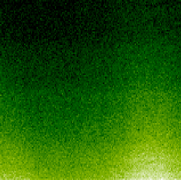 Intensity Image